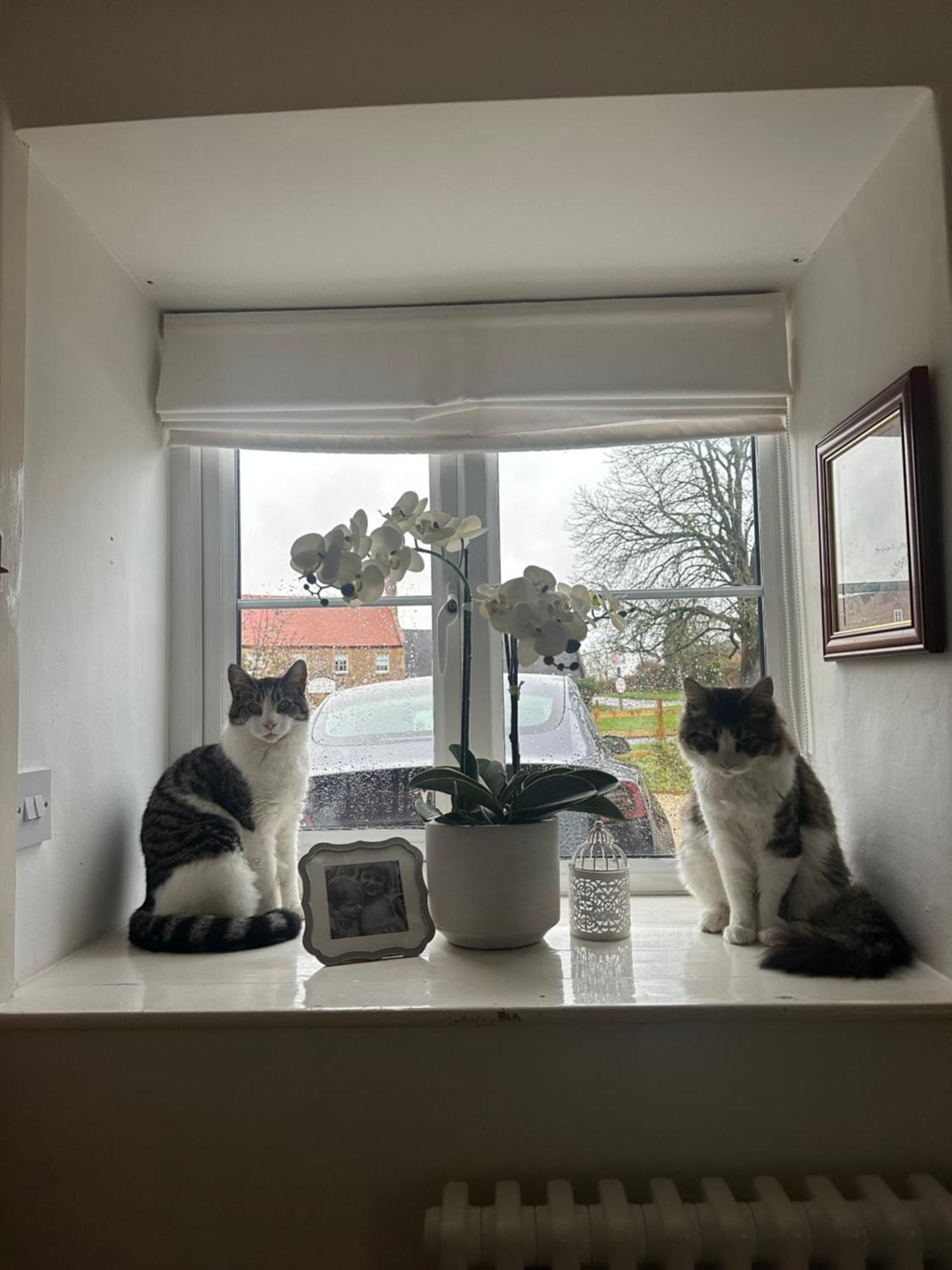 Gem Cottage Illmington Buitenkant foto